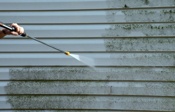Best Driveway Pressure Washing  in Fort Benton, MT
